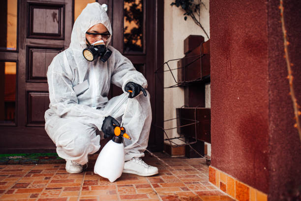 Attic and Crawl Space Rodent Treatment in Liberty Triangle