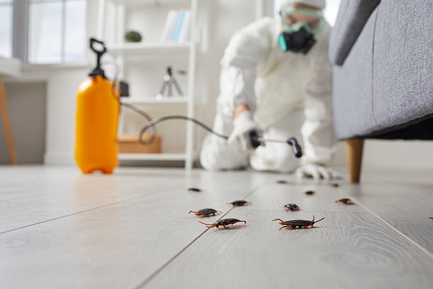 Commercial Rodent Management in Liberty Triangle